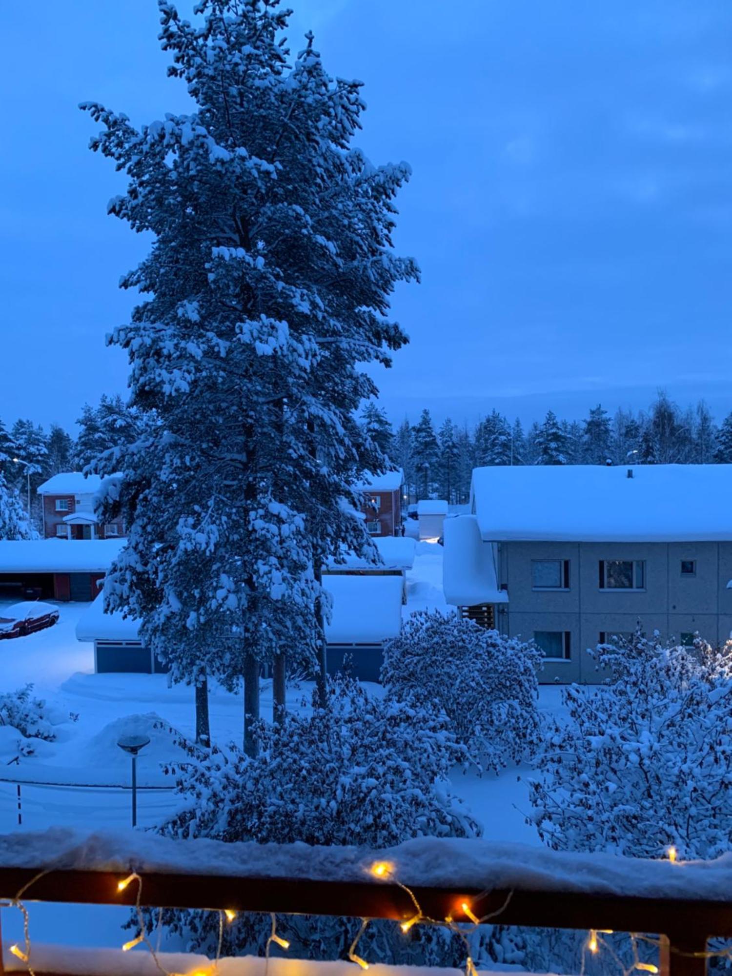 Susihukka & Punahilkka Apartments With Sauna روفانييمي المظهر الخارجي الصورة